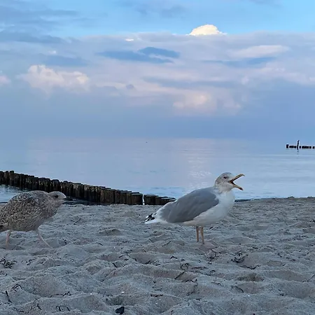 Strandwohnung Direkt Am - Whg 31 Kirr