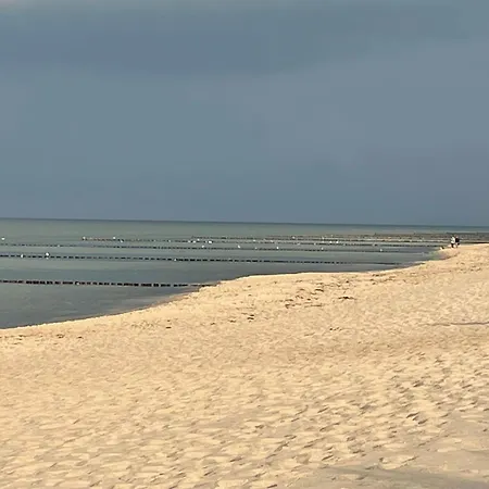 公寓 Strandwohnung Direkt Am - Whg 31 *